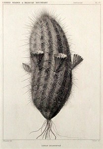 Image description is not available for 1999.015